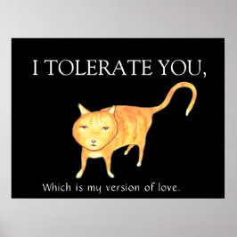 Tolerante Apathische Oranje Kat Poster