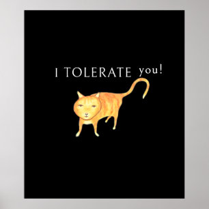 Tolerante Apathische Oranje Kat Poster