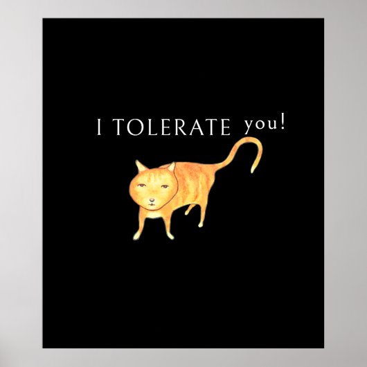 Tolerante Apathische Oranje Kat Poster (Voorkant)