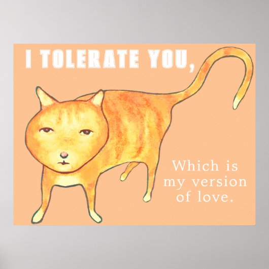 Tolerante Apathische Oranje Kat Poster (Voorkant)
