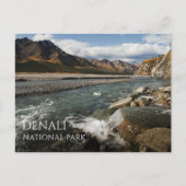 Tolkat River, Denali National Park, Alaska Briefkaart (Voorkant)