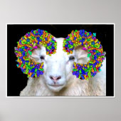 Toll-like Ram Poster (Voorkant)