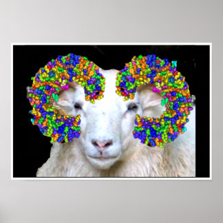 Toll-like Ram Poster