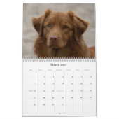 Toller Calendar Kalender (Mar 2027)