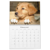 Toller Calendar Kalender (Feb 2027)