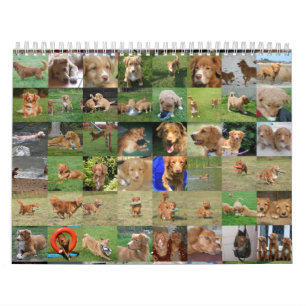 Toller Calendar Kalender
