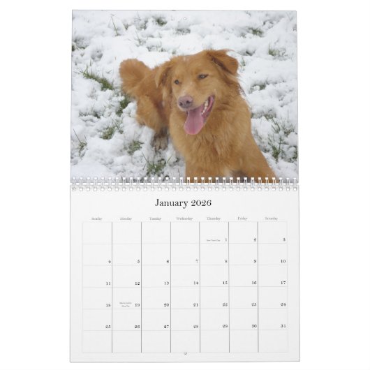 Toller Calendar Kalender (Jan 2026)
