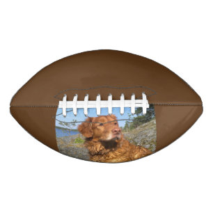 toller nat american football
