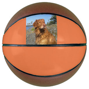 toller nat basketbal
