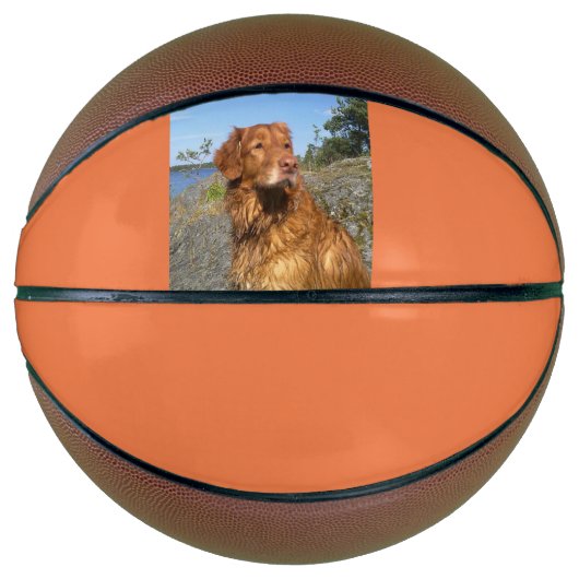 toller nat basketbal (Voorkant)