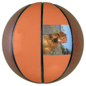 toller nat basketbal (Verticaal)