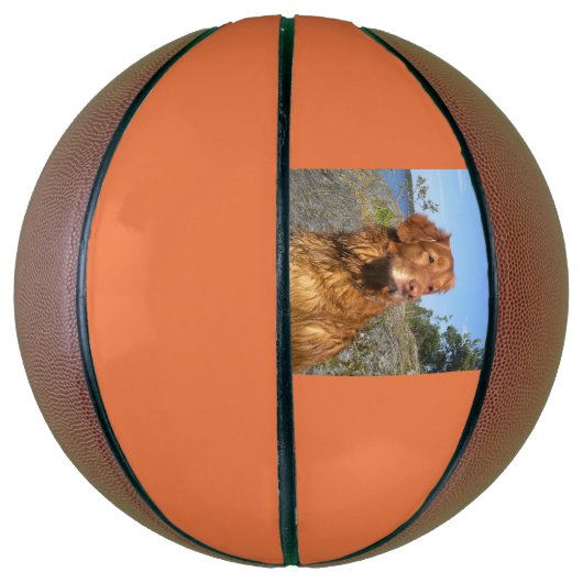 toller nat basketbal (Verticaal)