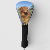 toller nat golfheadcover (Voorkant)