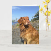 toller nat kaart (Gele Bloem)