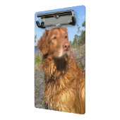 toller nat mini klembord (Angled2)