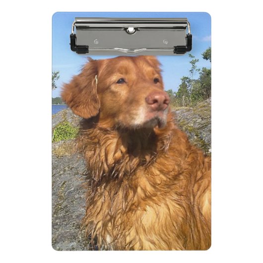 toller nat mini klembord (Voorkant)