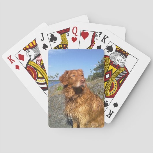 toller nat pokerkaarten (Achterkant)