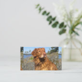 toller nat visitekaartje (Staand voorkant)