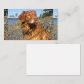 toller nat visitekaartje (Voorkant / Achterkant)