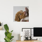 Toller Puppy Poster (Thuiskantoor)