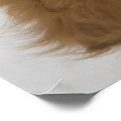 Toller Puppy Poster (Hoek)