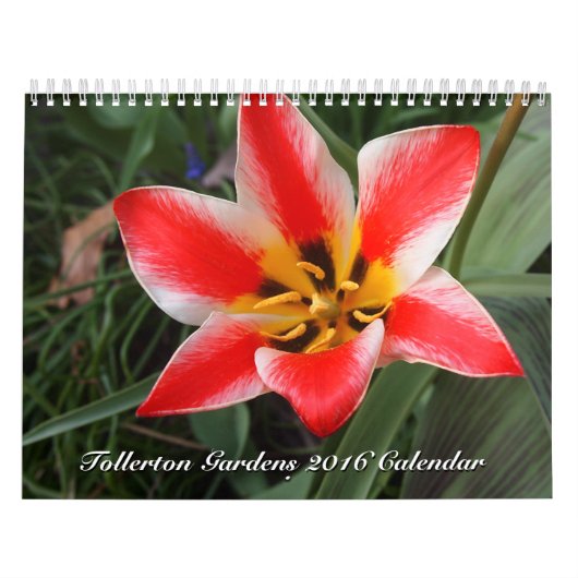 Tollerton tuiniert de Kalender van 2016 (Hoes)