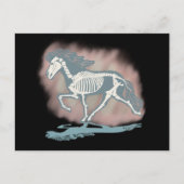 Tölter skeleton  briefkaart (Voorkant)