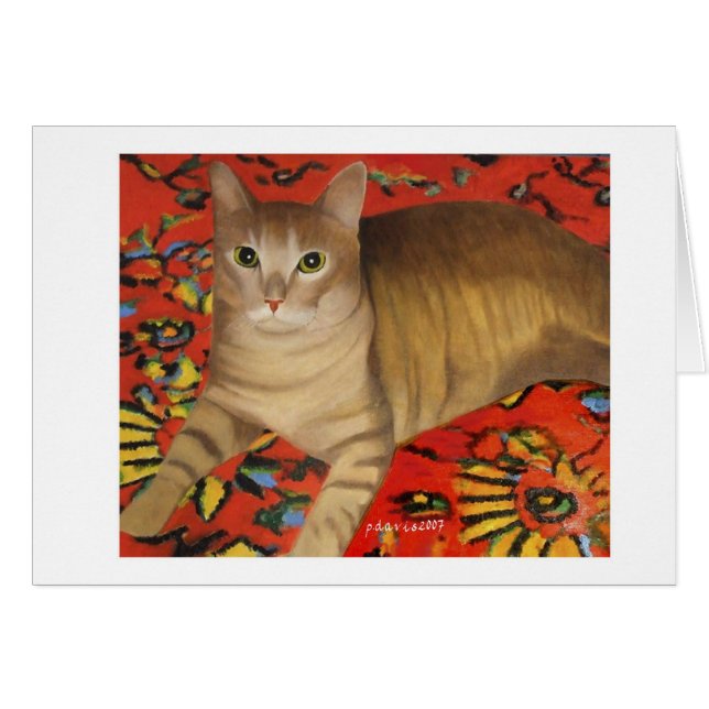 TOM (Voorkant Horizontaal)