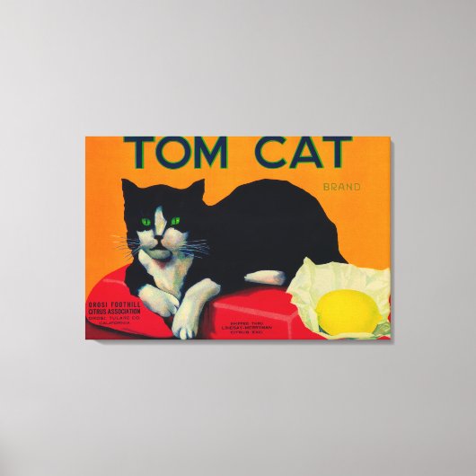 Tom Cat Lemon LabelOrosi, CA Canvas Afdruk (Voorkant)