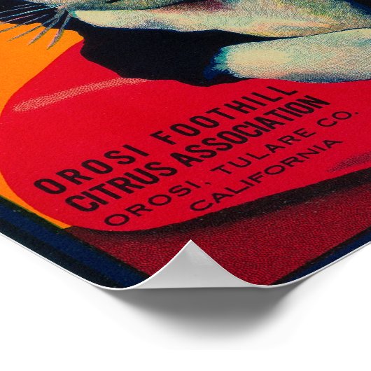 Tom Cat Lemon LabelOrosi, CA Poster (Hoek)