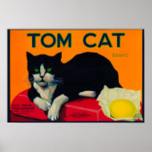 Tom Cat Lemon LabelOrosi, CA Poster (Voorkant)