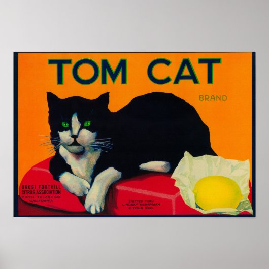 Tom Cat Lemon LabelOrosi, CA Poster (Voorkant)