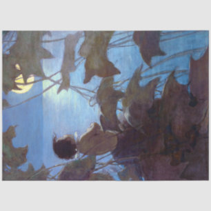 Tom die de maan bekijkt, Jessie Willcox Smith Tissuepapier