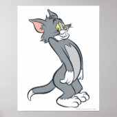 Tom Embarassed Poster (Voorkant)