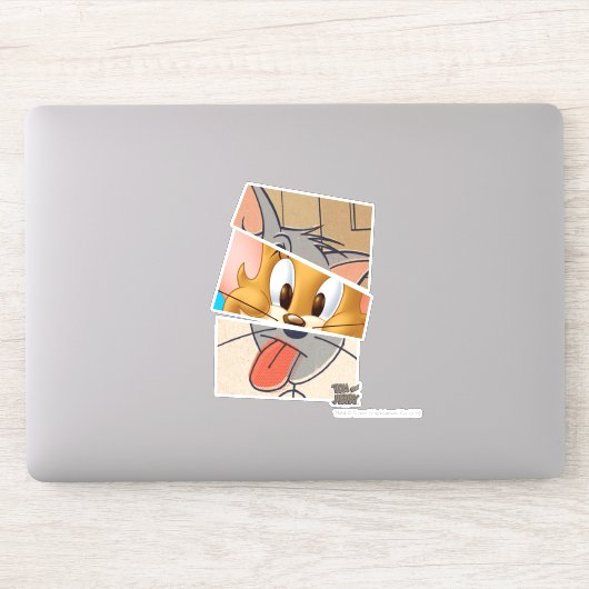 Tom en Jerry | Tom en Jerry Mashup Sticker (Computer)