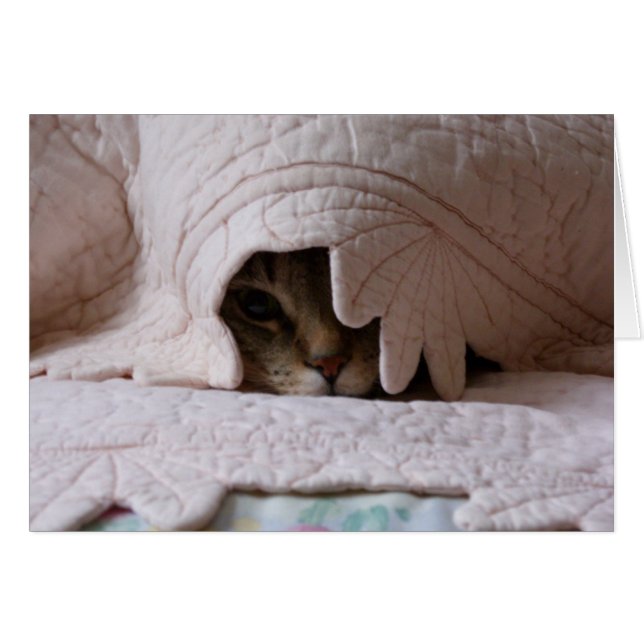 Tom-kaart (Voorkant Horizontaal)