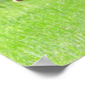 Tom kalkoenveer display poster (Hoek)