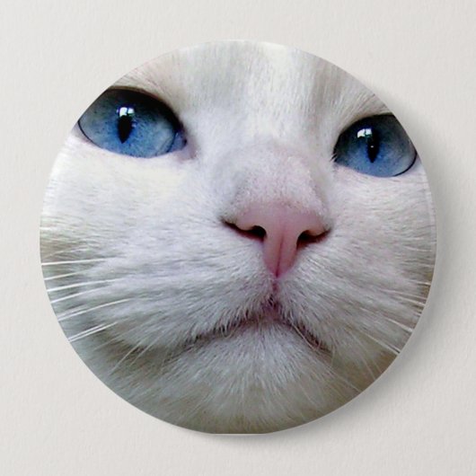 Tom knop ronde button 4,0 cm (Voorkant)