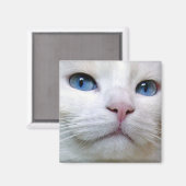 Tom Magnet (Voorkant / Achterkant)