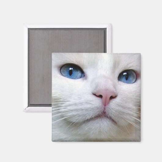 Tom Magnet (Voorkant / Achterkant)