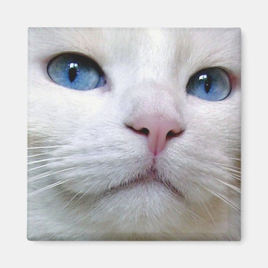 Tom Magnet (Voorkant)