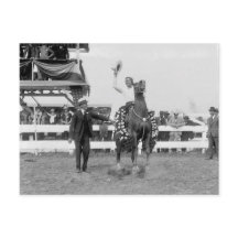 Tom mengt de golven naar de menigte