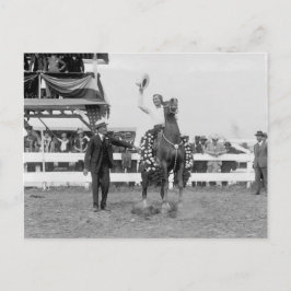 Tom mengt de golven naar de menigte briefkaart