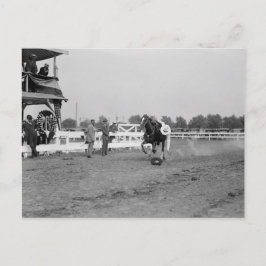 Tom Mix verzamelt een Pet Briefkaart