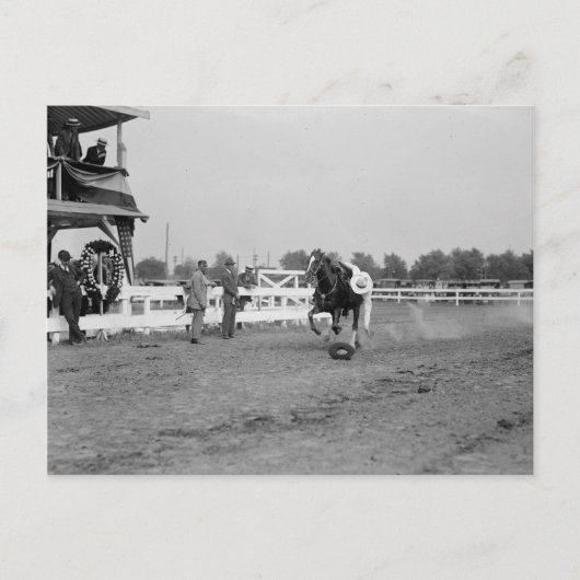 Tom Mix verzamelt een Pet Briefkaart (Voorkant)