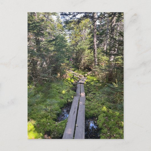 Tom New Hampshire Briefkaart (Voorkant)