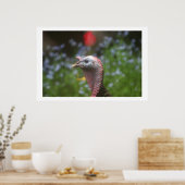 Tom piepen poster (Keuken)