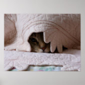 Tom poster (Voorkant)