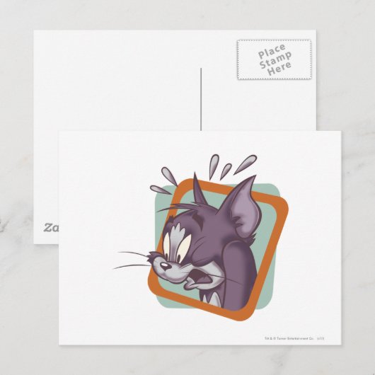 Tom Scaredy Cat Briefkaart (Voorkant / Achterkant)