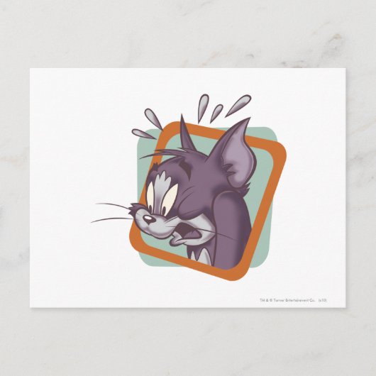 Tom Scaredy Cat Briefkaart (Voorkant)